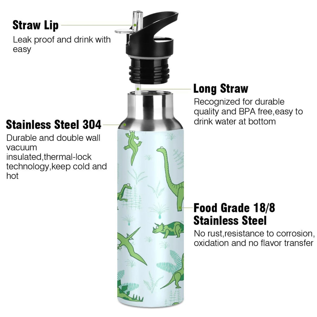 Stainless Steel Vacuum Insulated Water Bottle with Straw Lid 20 OZ E342