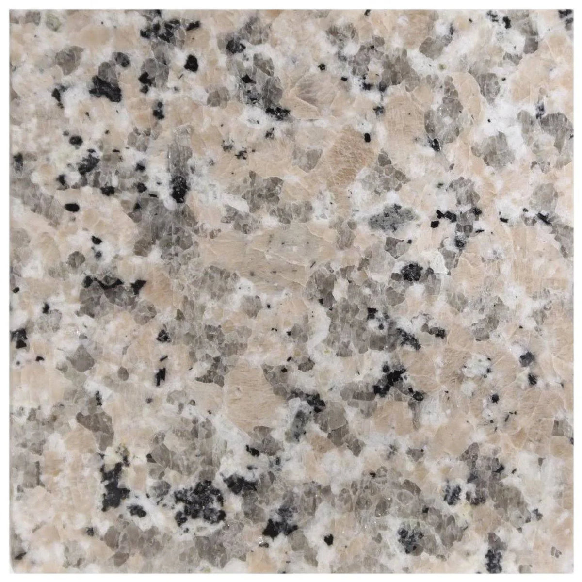 Single Vanity Top with Backsplash U4839