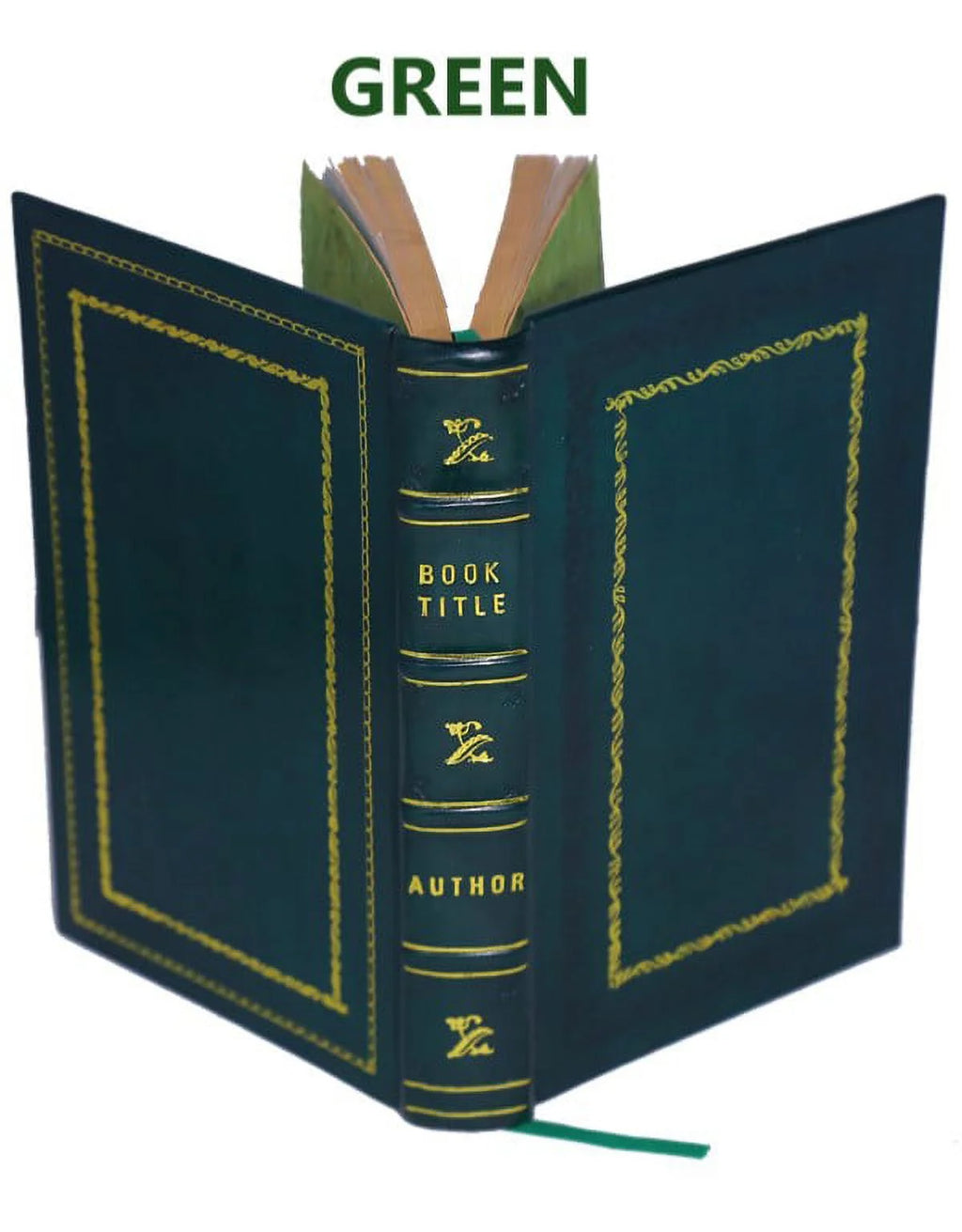 Premium Leather Bound D297