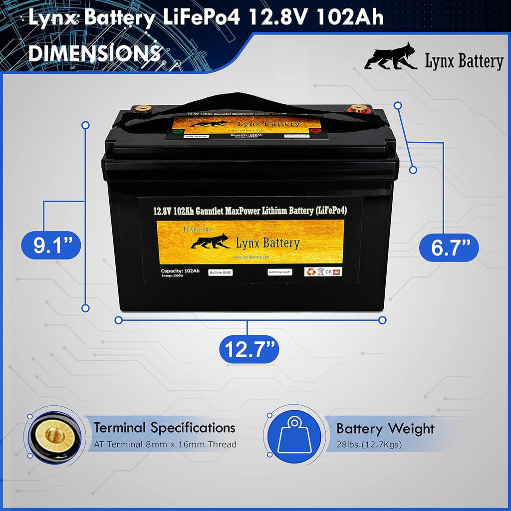 12V 100Ah Lithium Iron Phosphate LiFePO4 Battery with BMS Z492719