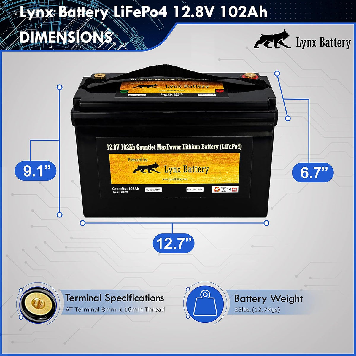12V 100Ah Lithium Iron Phosphate LiFePO4 Battery with BMS Z492719