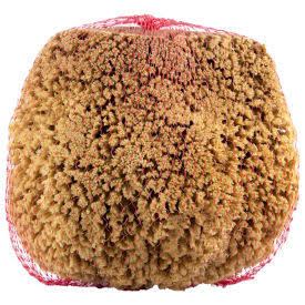 Large Natural Sea Sponge, Beige, 12/Case I4196