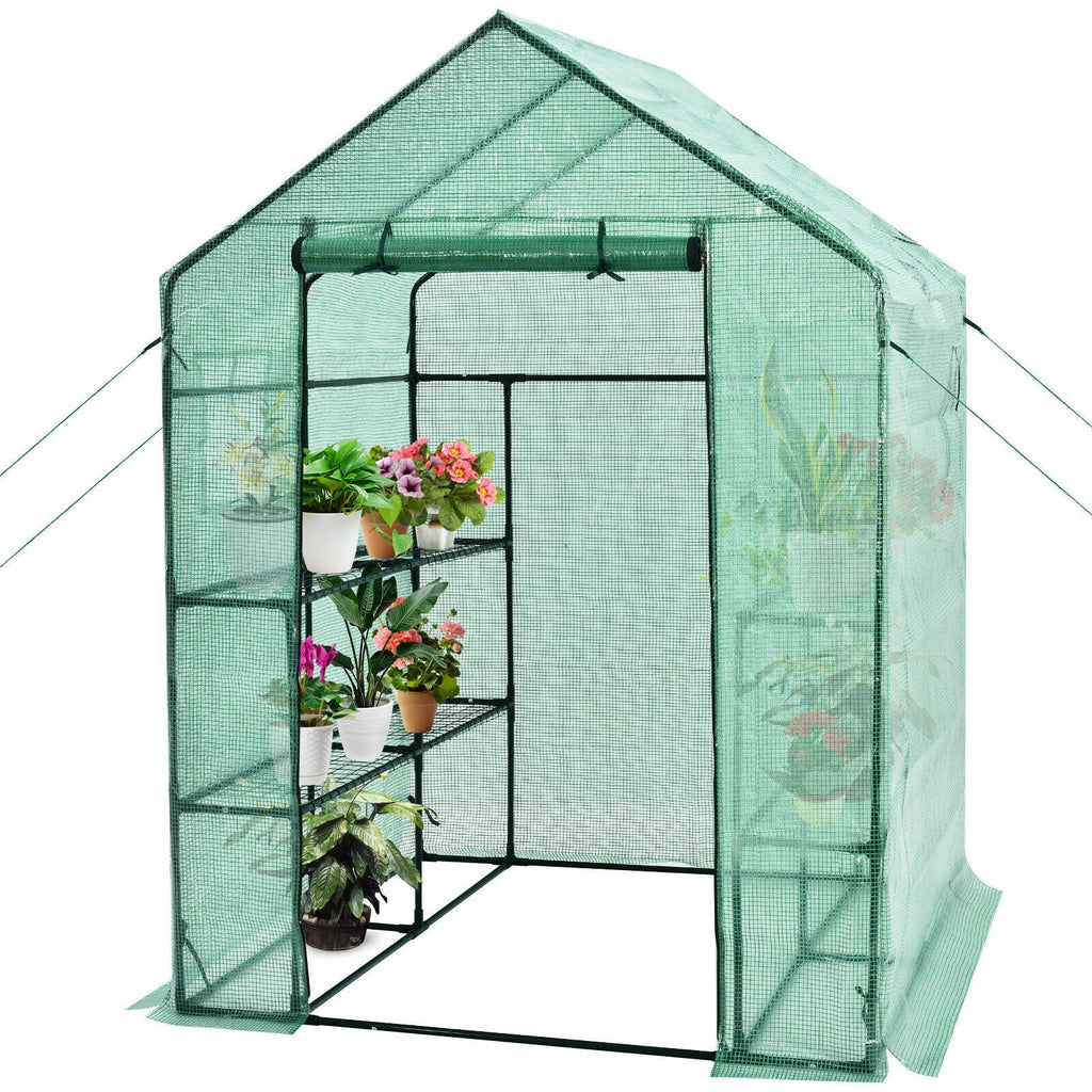 Walk-In Greenhouse with Observation Windows Y7690